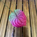 Realistic 3D printed artificial anthurium flower featuring pink green gradient petals - Rose Pink