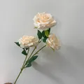 Detailansicht künstlicher Champagner-Rosen mit realistischen Seidenblütenblättern - 3-Kopf-Rose / Champagner