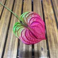 Realistic 3D printed artificial Anthurium flower in pink and green gradient finish - Rose Red
