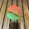 3D printed artificial Anthurium flower with orange-green gradient for wedding decor - Two-tone (Gold & Silver)