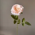 Elegante künstliche Stern-Mond-Rose in Champagner-Rosa für Innenräume und Hochzeitsdekoration - Champagnerrosa