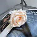 Elegante künstliche champagnerfarbene Rose auf einem schicken Lifestyle-Magazin - Champagner