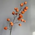Branche décorative de baies de lanterne chinoise en mousse orange pour maison et mariage - Café Clair