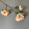 Detailansicht von champagnerfarbenen Kunstrosen mit feinen Stoffblüten für Hochzeiten. - 3-Kopf Narzisse / 65cm / Champagner