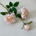 Nahaufnahme eines champagnerfarbenen künstlichen Rosenzweigs mit Seidenblumen - 3-Kopf Diamant-Rose / Champagner