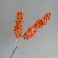 Primo piano di un ramo di giacinto artificiale arancione vibrante con stami bianchi dettagliati - Arancione