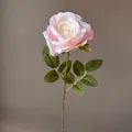 Elegante künstliche Rose mit einem Stiel und realistischen rosa-cremefarbenen Blüten - Rosa Umrandet