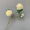 Künstliche Pfingstrose mit 3 Köpfen in Cremegelb für elegante Hochzeitsdekoration - Champagner