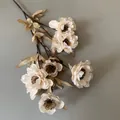 Detailansicht realistischer champagnerfarbener Kunstblumen mit zarter Blütenstruktur - 6-Kopf Kleine Pfingstrose / 80cm / Hell Champagner