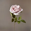 Elegante künstliche Sternenmond-Rose in Altrosa für die Dekoration zu Hause und im Büro - Herbstweiß