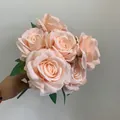 Handgehaltene Detailansicht eines champagnerfarbenen künstlichen Rosenstraußes für Hochzeiten - 7-Kopf Rose / 50cm / Hell Champagner
