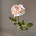 Einzelne künstliche Rose in Champagner-Rosa für elegante Haus- und Hochzeitsdeko. - Hellchampagner