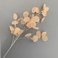 Hoogwaardige kunstmatige eucalyptus appelbladsteel in elegant perzikoranje voor decoratie - 35 Bladeren / Champagne