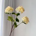 Detail view of 3-head artificial cream hydrangea flowers for home wedding decoration - Champagne