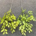 Two artificial green plant stems for wedding decor in light and yellowish green shades. - Green Plant 01
