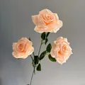 Realistic detail of champagne artificial rose heads featuring delicate water droplets on petals. - Light Champagne