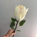 Elegante flor de protea artificial flocada en crema y rosa para decoración - Blanco Leche