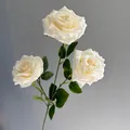 Detailed macro view of white artificial rose with realistic water drops on petals. - Milk White