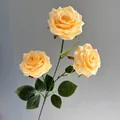Realistic 3-head yellow artificial rose with decorative water droplets on petals. - Champagne