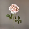 Hochwertige künstliche rosa Rose am Stiel mit realistischen Blättern für die Deko - Dunkles Champagner