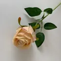 Single stem champagne Bulgaria artificial rose for elegant home and hotel table decor - Champagne