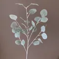 Kunstmatige eucalyptus tak voor Scandinavische bruiloft en huisgroen decoratie. - Zilverijs