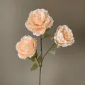 Eleganter künstlicher Pfirsich-Pfingstrosen-Seidenblumenzweig mit 3 Köpfen für Deko - Champagner