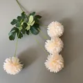Künstlicher champagnerfarbener Pom-Pom-Blütenzweig für Hochzeitsdeko - 4-Kopf Kugelblume / 60CM / Champagner