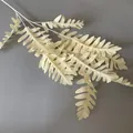 Elegantes champagnerfarbenes künstliches Farnblatt für Hochzeits- und Heimdekoration - Großes Farnblatt / 95cm / Hell Champagner