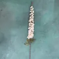 Langstielige künstliche Ritterspornblüte in Champagner für Hochzeitsdekoration - Vanda Orchidee / 130cm / Hell Champagner