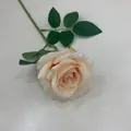 Ein Stiel einer eleganten champagnerfarbenen künstlichen Rose mit grünen Blättern - Einzelkopf-Einzelstiel-Rose / Champagner