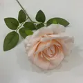 Elegante einzelne champagnerfarbene Kunstrose für Hochzeits- und Eventdekoration - Einzelner Stiel Xingyue Rose / Champagner