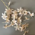 Eleganter champagnerfarbener Kunstblumenzweig, ideal für Hochzeits- und Deckendekorationen - Tiger-Orchidee / 90cm / Champagner