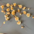 Eleganter champagnerfarbener Kunstblumenzweig SKU für Hochzeit und Bühnendekoration - Rhodonit / 100cm / Hell Champagner