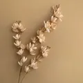 Elegante künstliche Blumen Zweige in Champagner für Hochzeit und Heimdekoration Floristik. - Hoya / 100cm / Hell Champagner