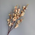 Realistischer künstlicher Orchideenzweig in Champagner für Hochzeit und Dekoration - Tanzende Orchidee / Champagner