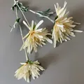 Künstliche champagnerfarbene Chrysantheme aus Seide für Hochzeit und Heimdekoration - Krabbenschere Chrysantheme / 75cm / Champagner