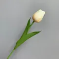 Elegante künstliche Tulpe in Champagner für Hochzeiten und florale Dekorationen. - Tulpe / Champagner