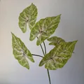 Realistic 3D printed artificial Caladium leaves for home and wedding flower decor - Light Green Red Spotted (316)