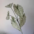 Artificial 5-fork Caladium leaf with 3D printed texture for home decor - White Green Reticulate Veins (316)