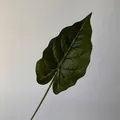 Realistic 3D printed dark green artificial taro leaf for elegant home and wedding decor - Single Deep Green (316)