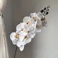 Elegant white artificial Phalaenopsis orchid spray for French style wedding decor - 9-Head White Phalaenopsis Orchid