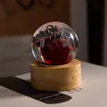 Detail macro view of a creative crystal ball night light with dragon emblem on wooden base - Black Dragon Crystal (Rechargeable)