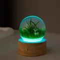 Creative resin crystal ball night light with deer forest landscape on a wooden base lamp - Elk Grass (Rechargeable)