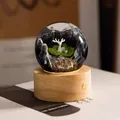 Close-up of a creative resin crystal ball night light featuring a white deer on wooden base - Mountain Elk (Rechargeable)