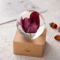 Elegant tulip flower specimen crystal ball night light on a wooden base for gift - Wood Base Red Tulip (Preserved Flower Night Light)