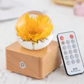 Elegant preserved sunflower night light with solid wooden base and wireless remote control - Sunflower (A20)