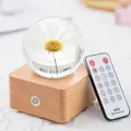 Elegant preserved daisy flower crystal ball night light on wooden base with remote control - Bluetooth Remote Model / Wood Base Daisy