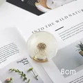 Transparent 6cm dandelion crystal ball resin ornament for home desktop decoration - Dandelion Gear Shift Knob / 6cm