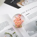 Elegant 6cm diameter clear crystal ball containing pink dried flowers home decor gift - Red Daisy Gear Shift Knob / 6cm